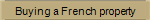 Buying a French property