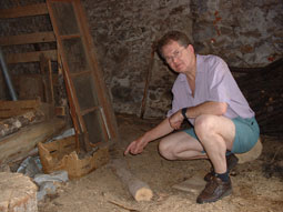 Termites - a classic problem in French properties
